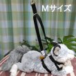 画像5: Tタッチコネクター (5)