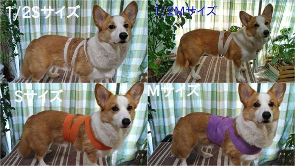 画像2: ボディラップ (2)