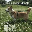画像3: Tタッチハーネスセット (3)