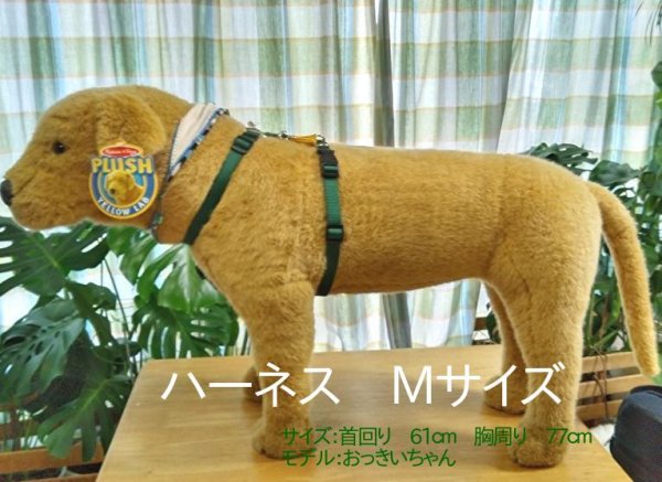 画像7: Tタッチハーネスセット (7)