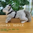 画像5: Tタッチハーネスセット (5)