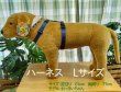 画像9: Tタッチハーネスセット (9)