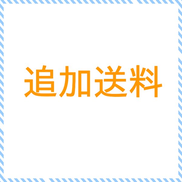 画像1: 追加送料 (1)